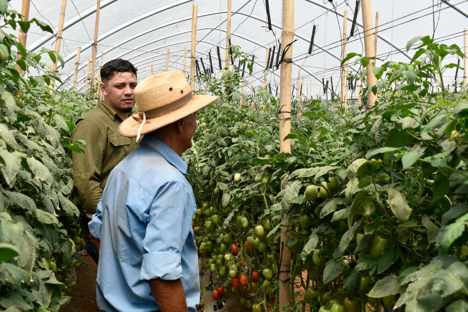 FORAGRO IMPULSA LA EFICIENCIA Y LA TECNIFICACIÓN PARA FORTALECER LAS COSECHAS EN GUATEMALA
