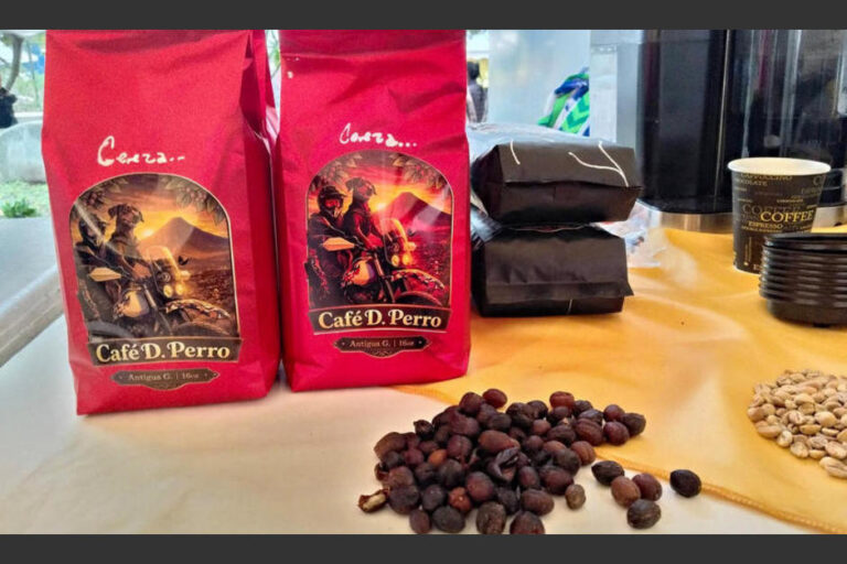 Entre volcanes y lealtad: así nació “Café de Perro” en San Pedro Las Huertas