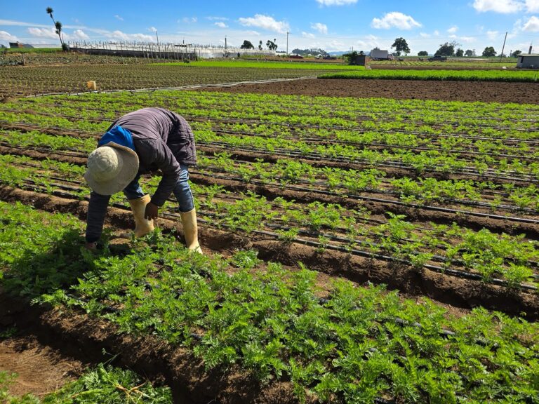 FORAGRO DESTACA EL VALOR DE LA AGRICULTURA Y SUPAPEL EN EL DESARROLLO DE CENTROAMÉRICA