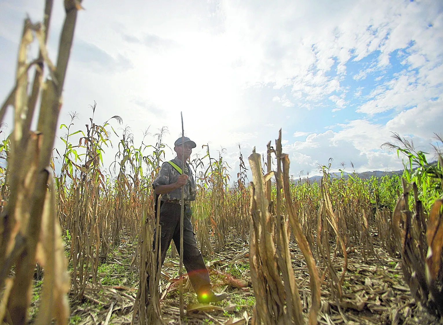 SEQUÍA AFECTA A MÁS DE 1.2 MILLONES DE FAMILIAS